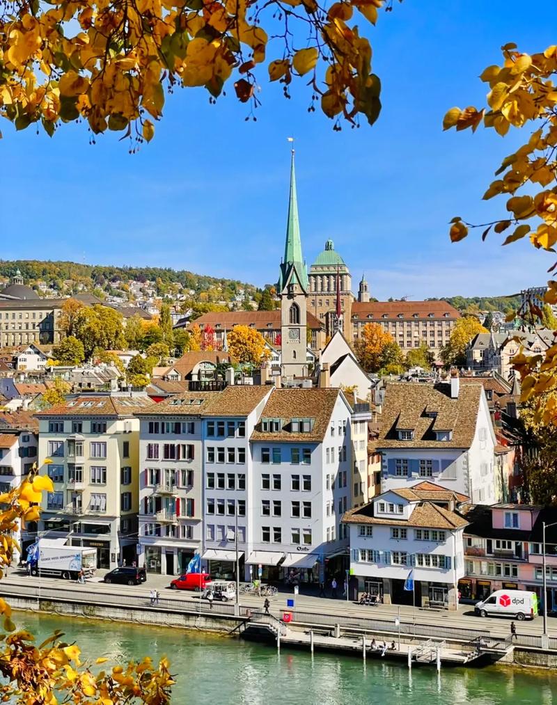 纽芬兰纪念大学